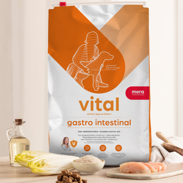 mera vital dog gastro intestinal