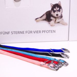 Valphalsband med metallspänne
