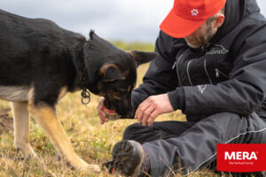 MERA hundmat Lyxigt och nyttigt