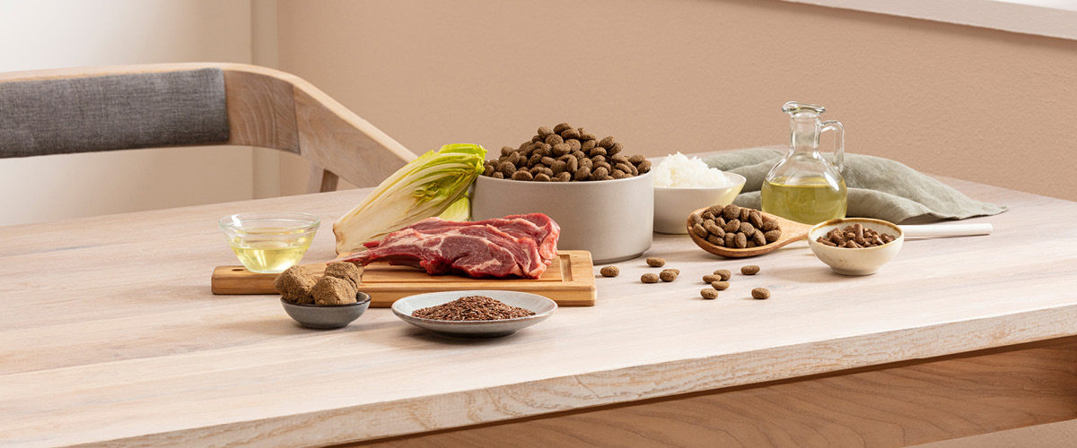 Lyxigt och nyttigt hundfoder hundkex