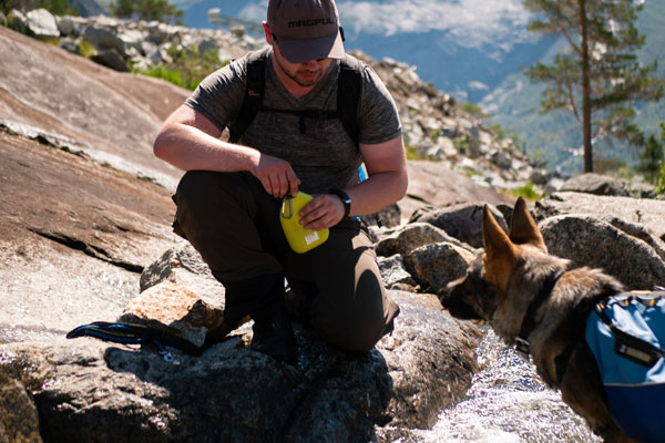 Vandra med hund