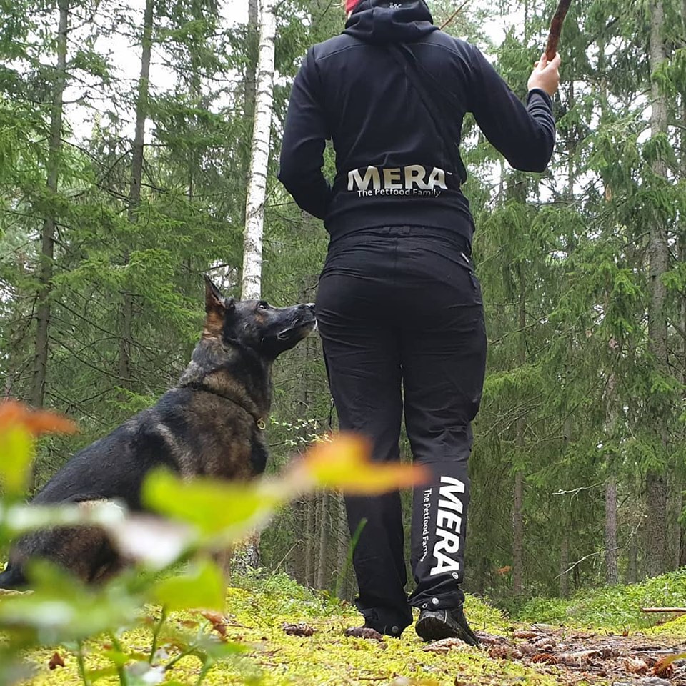 Min hund dålig i magen, vad ska jag - Mera