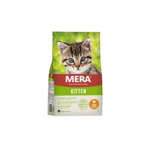 better food Kitten kyckling