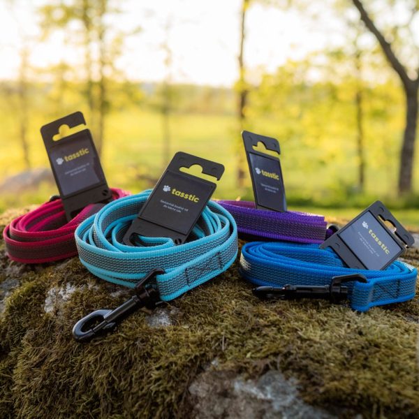 Hundkoppel & hundhalsband