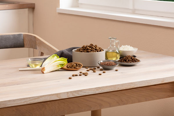 Insekter i hundfoder