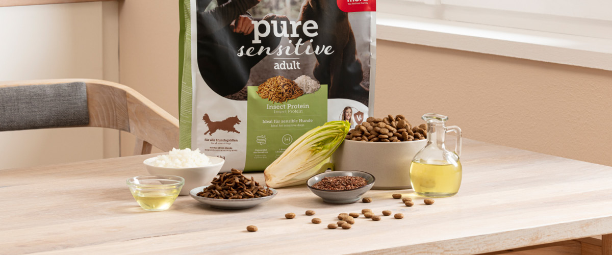 Insekter i hundfoder