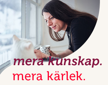 MERA-top-mobile Mera Petfood Relaunch mobil
