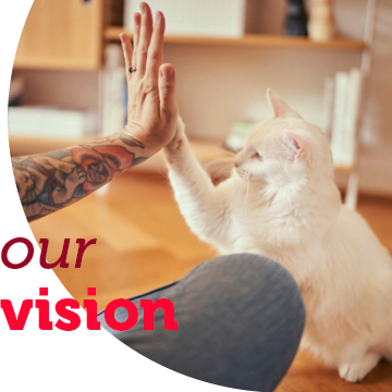 vår vision vår vision