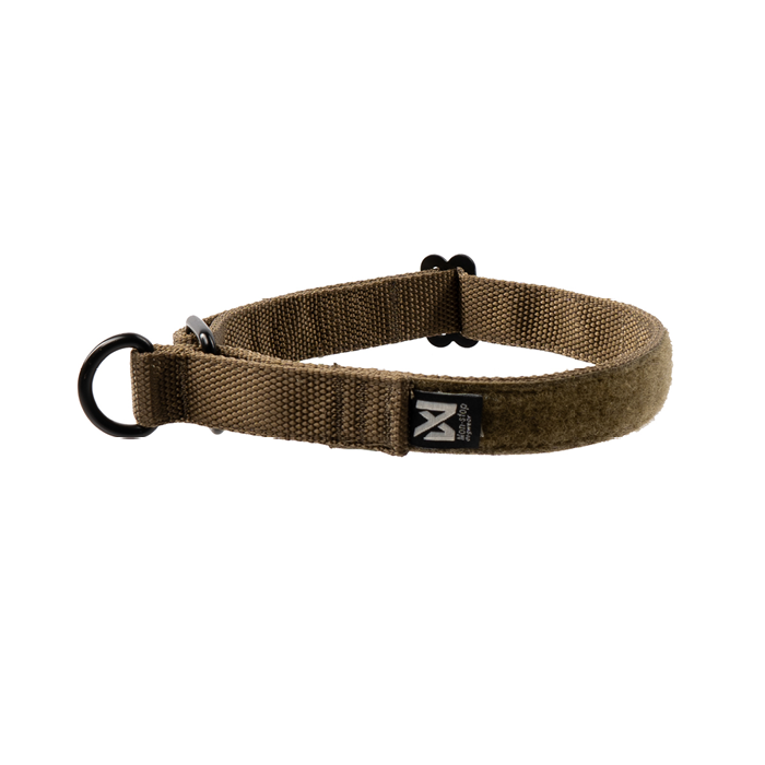 Dog collars clearance
