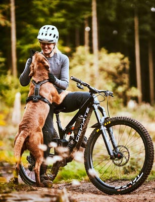 hundmat hundkex