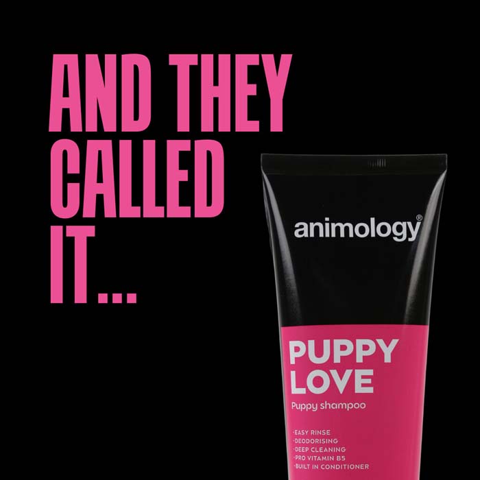 Skonsamt valpschampo Puppy Love – Animology - Bild 2