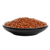 mera-brandpage-produktlinien-pure-green-zutaten-sorghum-hirse durra hirs vegansk hundmat mera pure green vegan